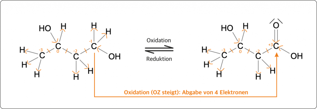 Oxidation von 3-Hydroxybutan-1-ol zu 3-Hydroxybutansäure. Nur das terminale Kohlenstoffatom ändert seine Oxidationszahl deutlich, die übrigen Kohlenstoffatome bleiben unverändert.